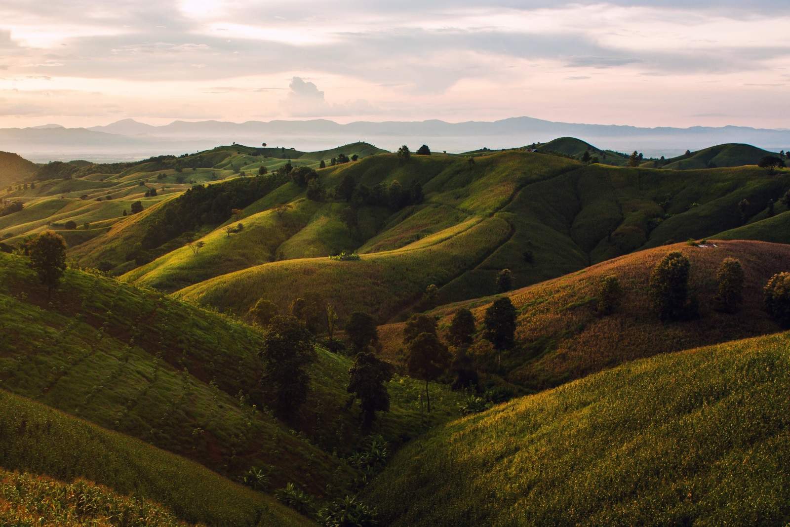 green rolling hills against a colorful sky