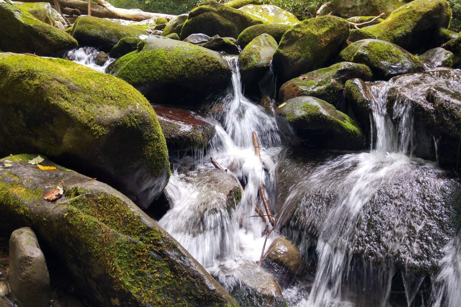 rocky stream