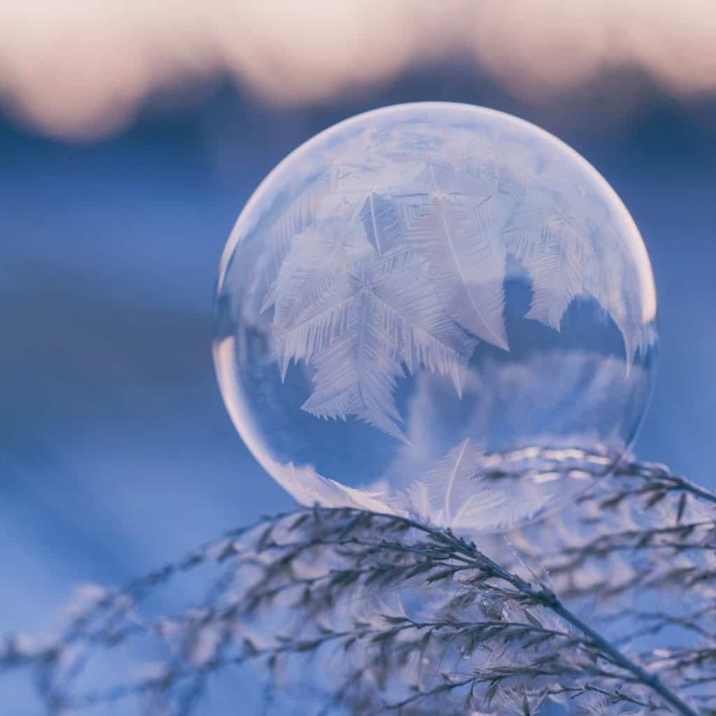 frozen bubble reflecting a tree on a branch