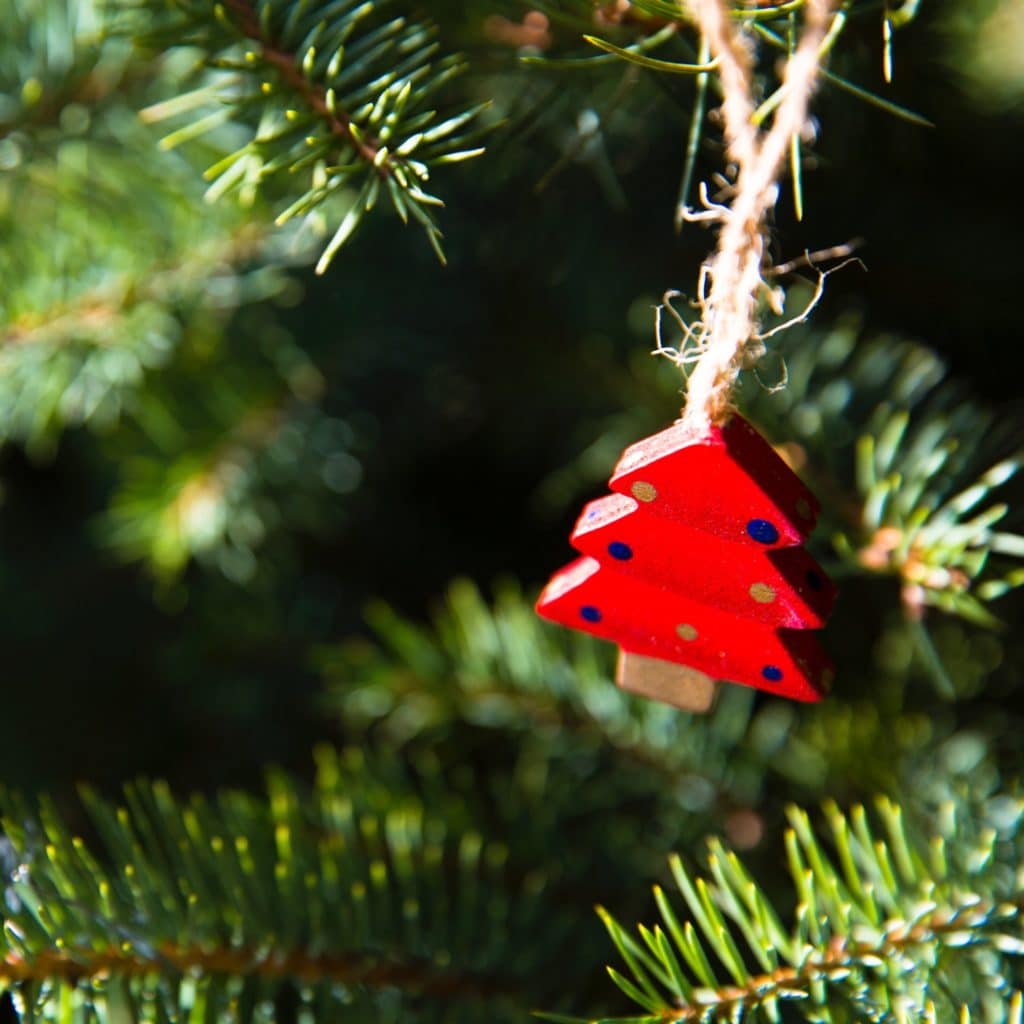 red wooden ornament in xmas pine tree