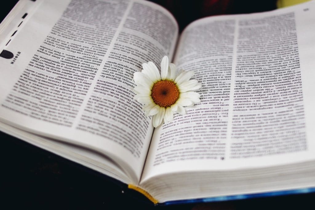 white flower in book