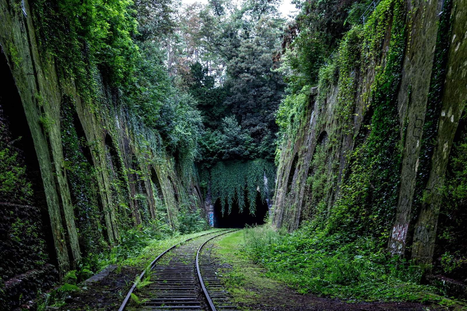 moss covered rock walls along train tracks into tunnel #64