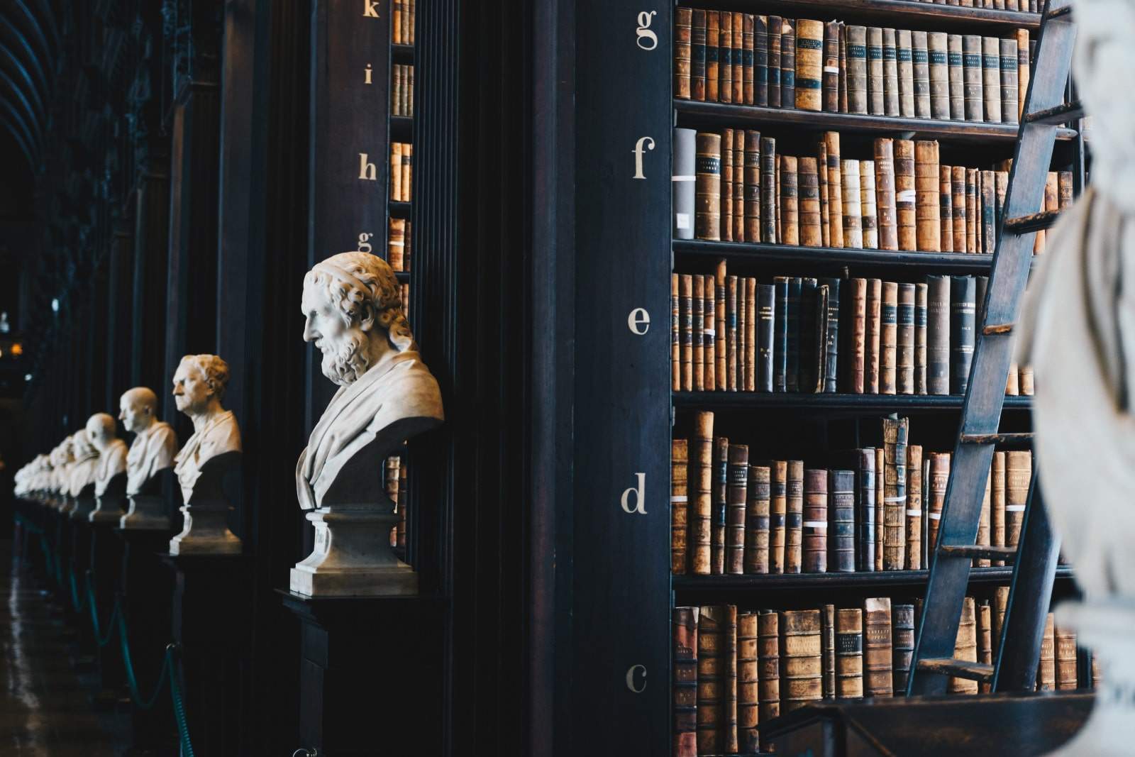 library and historical looking busts