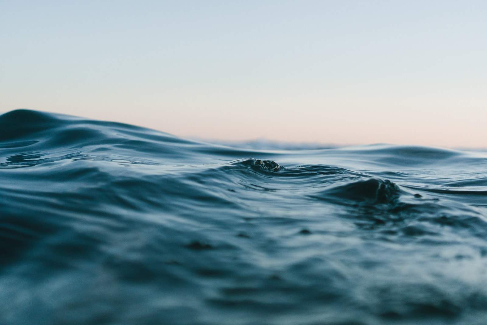 in the ocean water at eye level