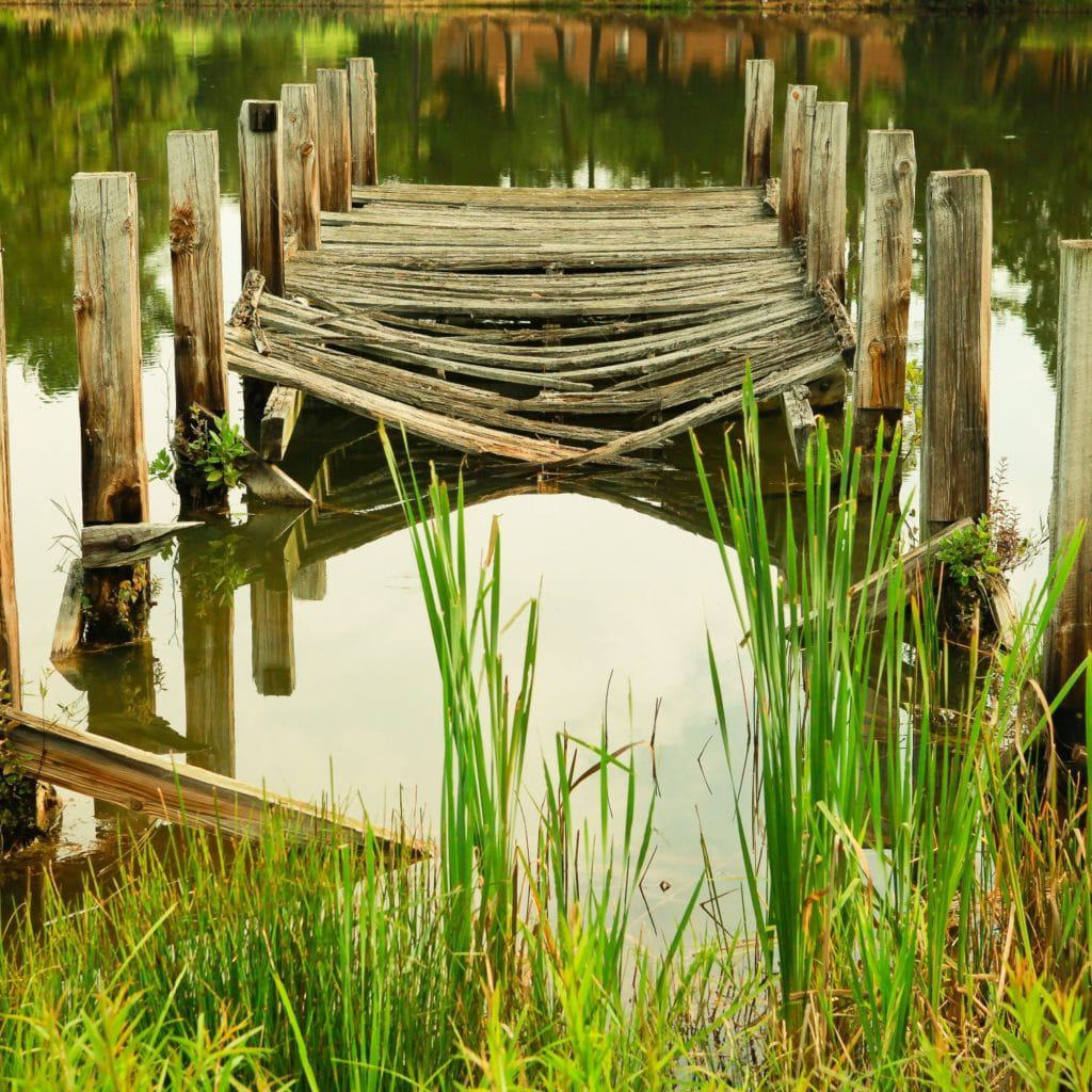 wooden dock with greenery and water