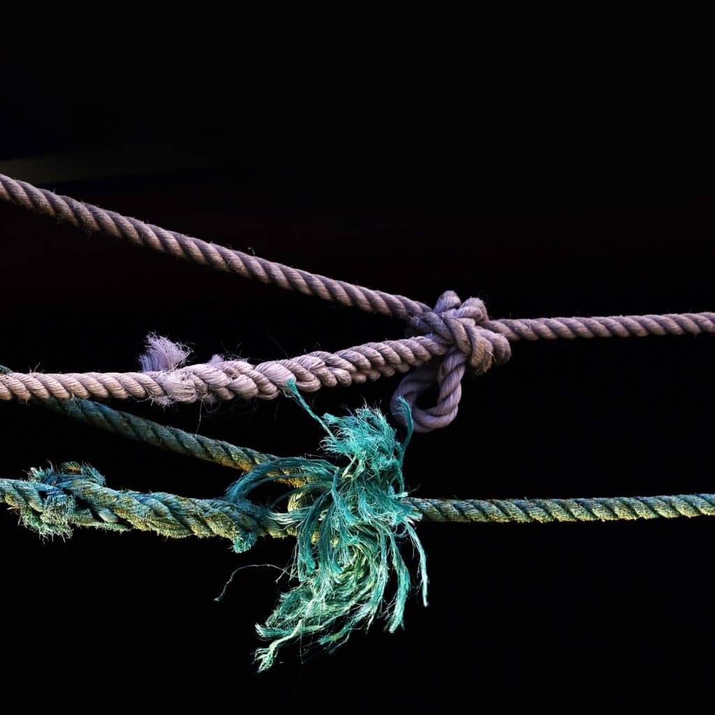 blue and purple ropes