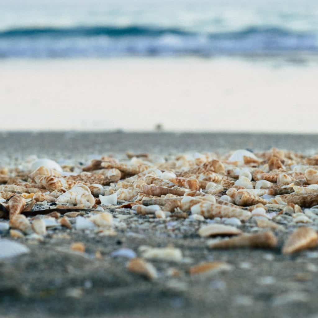 pebbles on a seashore