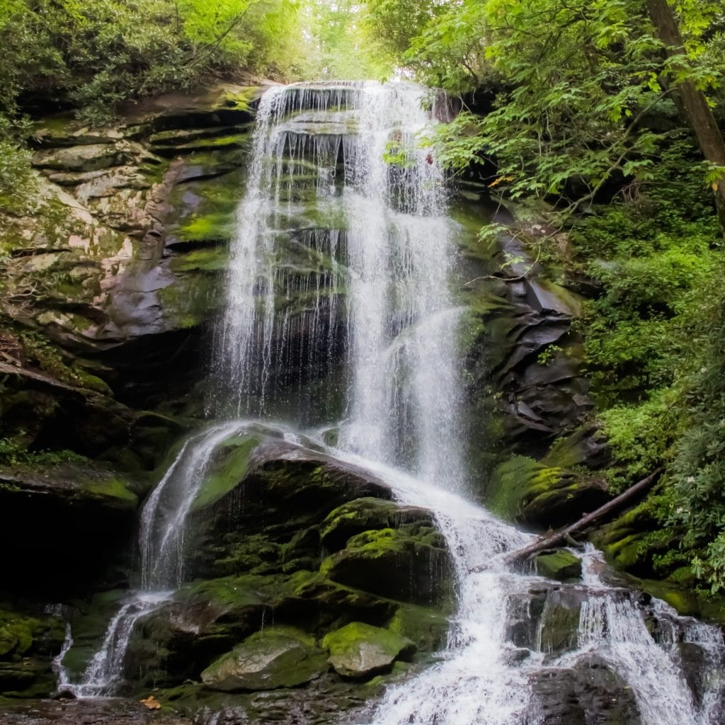 From overwhelm to compassion #245 waterfall and greenery