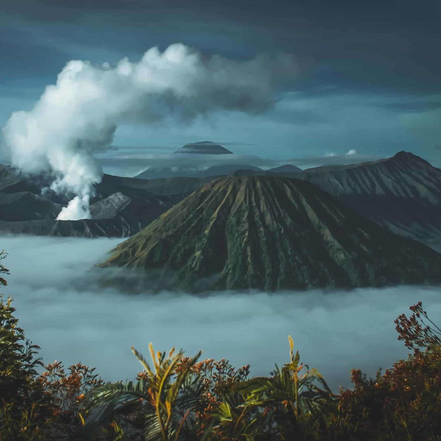 5 Things We Do When Stressed #314