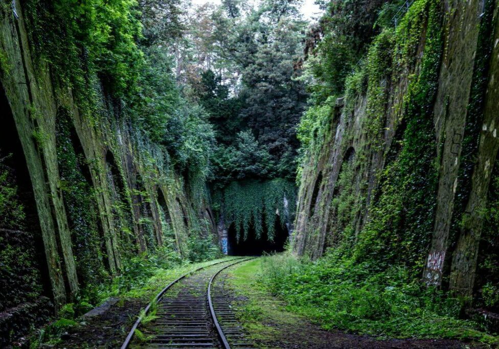 moss covered rock walls along train tracks into tunnel #64