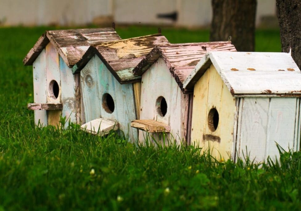 four bird houses lined up