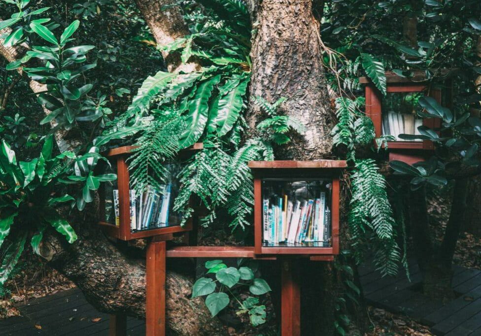 books in a treehouse