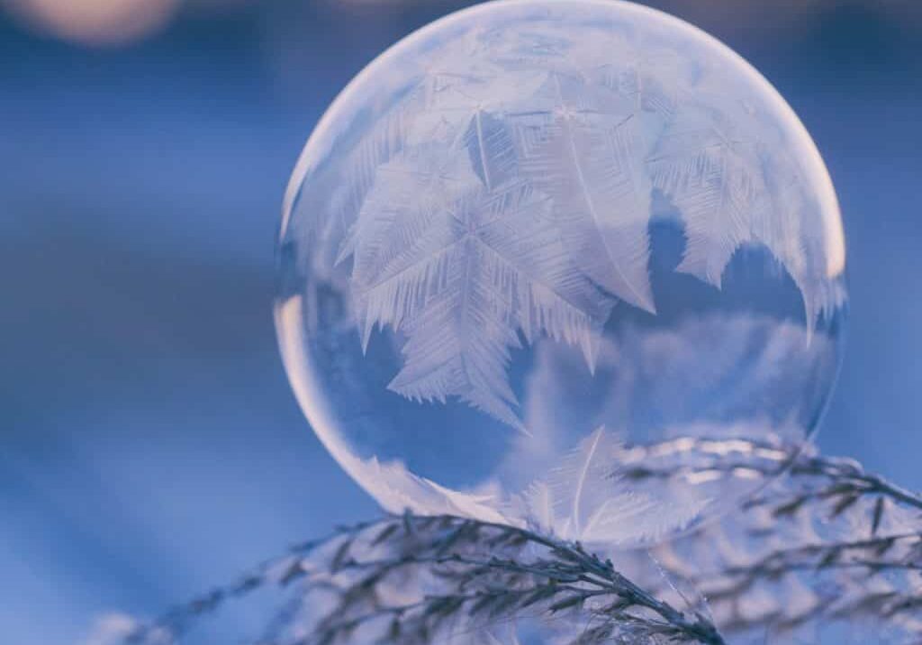 frozen bubble reflecting a tree on a branch