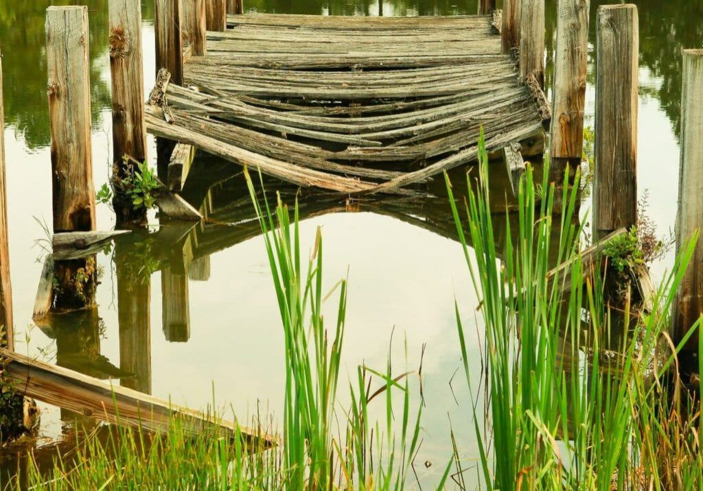 wooden dock with greenery and water